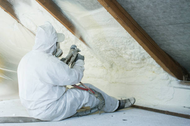 Best Blown-In Insulation  in Ives Estates, FL