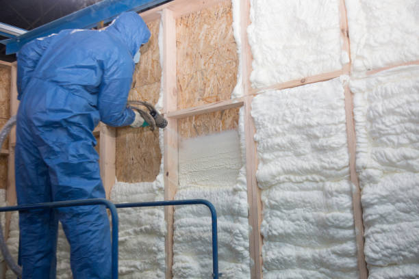 Best Thermal Imaging for Insulation Gaps  in Ives Estates, FL